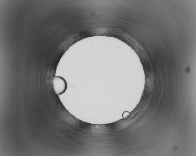 X0000116670525201001251241