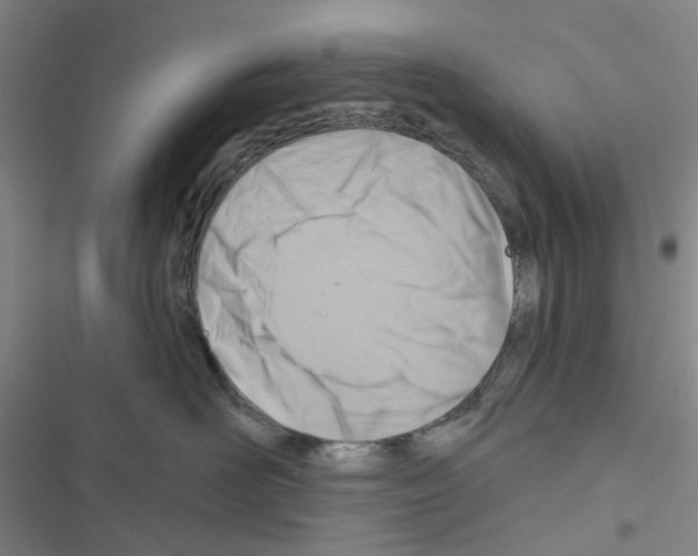 X0000116670526201001251241