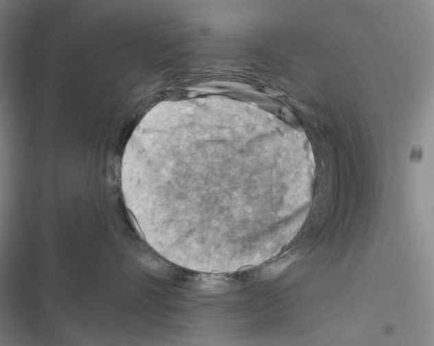 X0000116670528201001251241