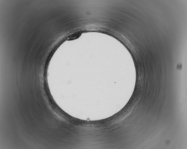 X0000116670530201001251241