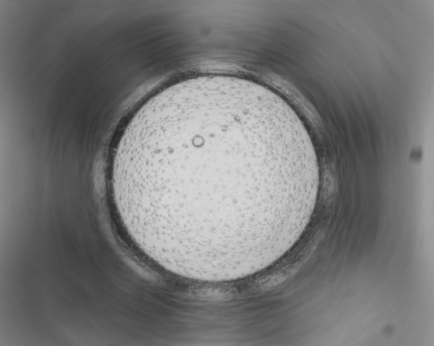 X0000116670533201001251241