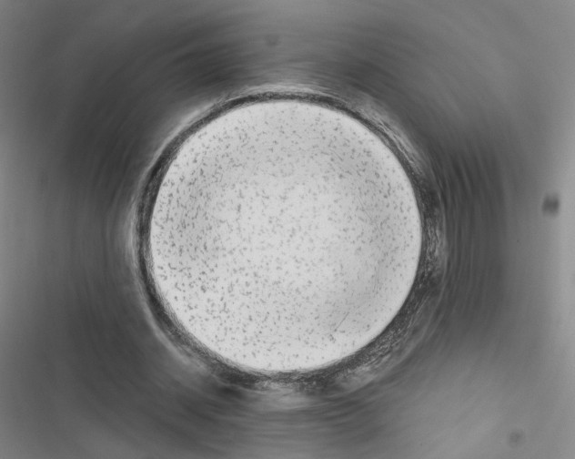 X0000116670534201001251241