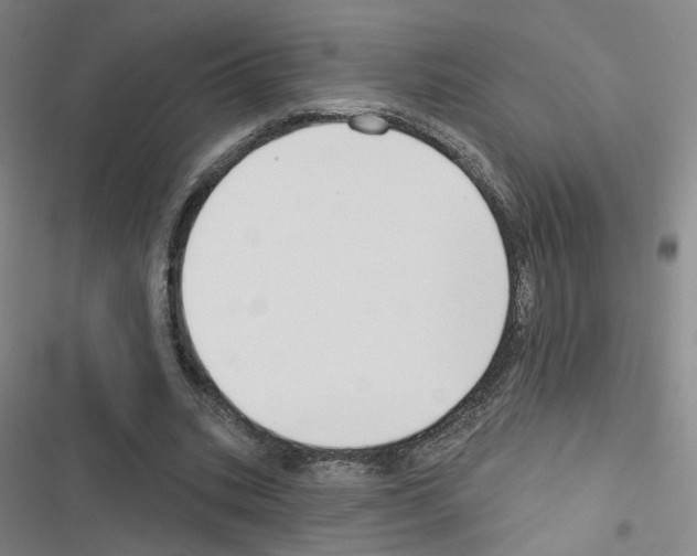 X0000116670535201001251241