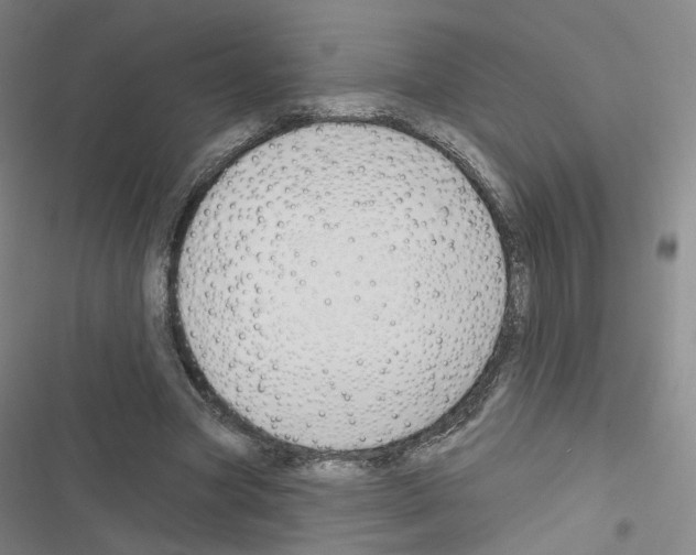X0000116670537201001251241