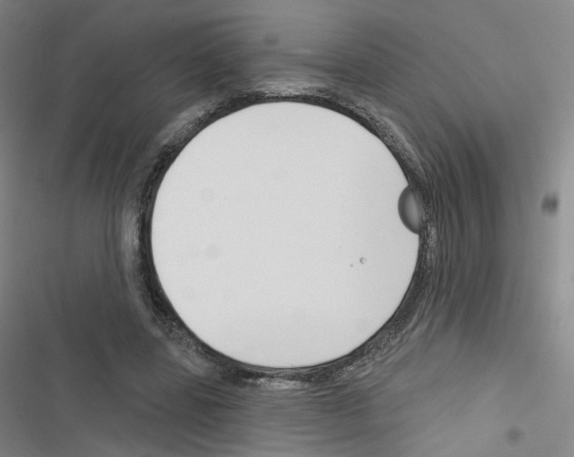 X0000116670539201001251241