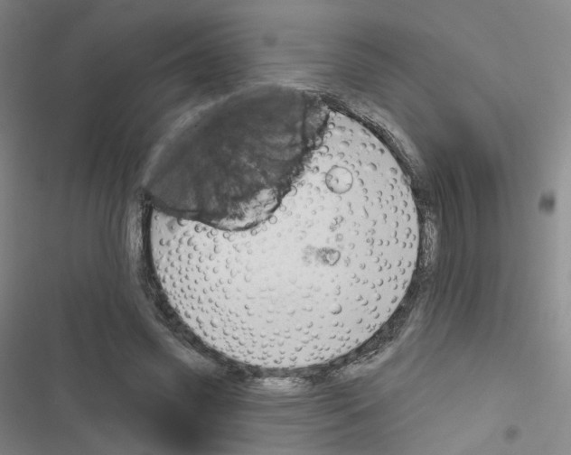 X0000116670541201001251241