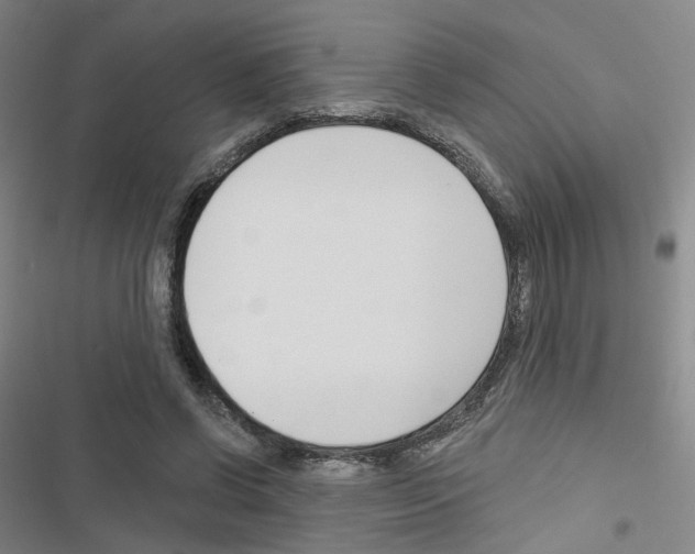 X0000116670542201001251241