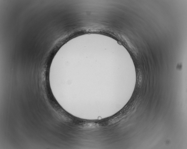 X0000116670543201001251241
