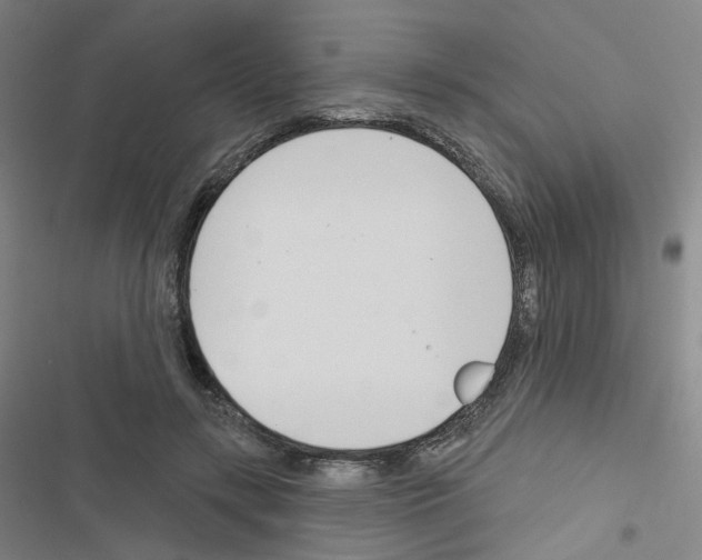 X0000116670547201001251241