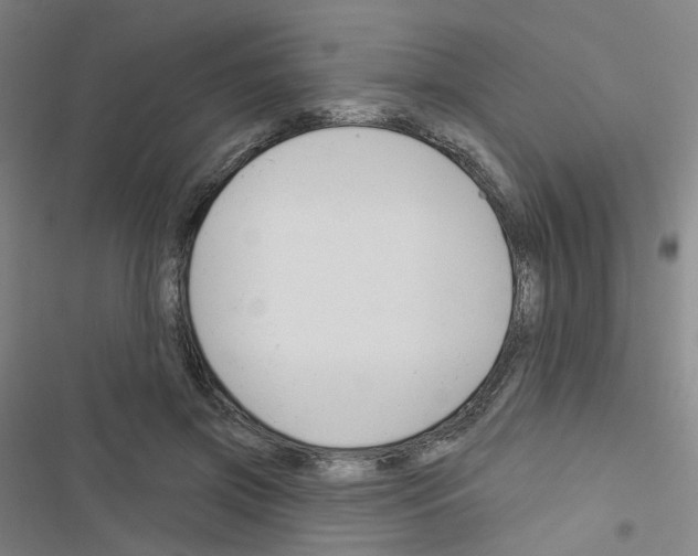 X0000116670549201001251241