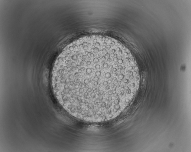 X0000116670550201001251241