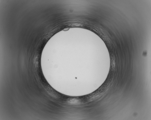 X0000116670551201001251241