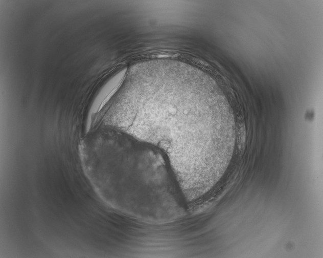X0000116670553201001251241