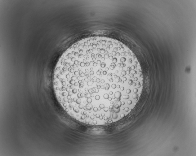 X0000116670554201001251241