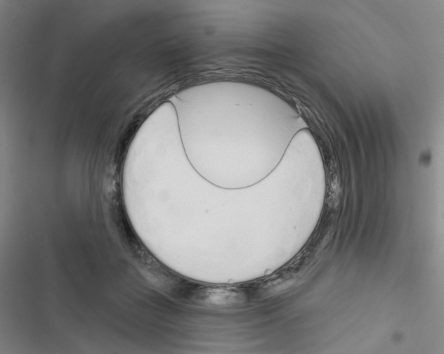 X0000116670555201001251241