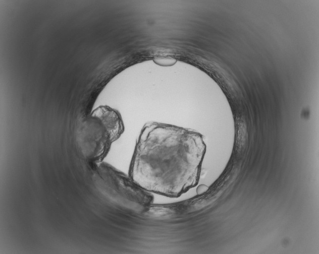 X0000116670557201001251241