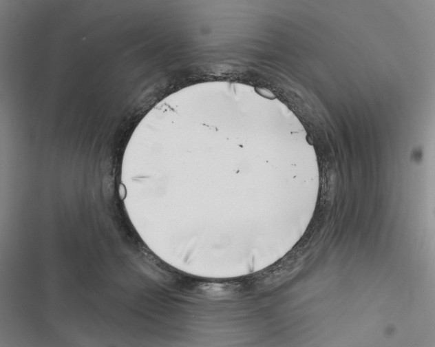 X0000116670558201001251241