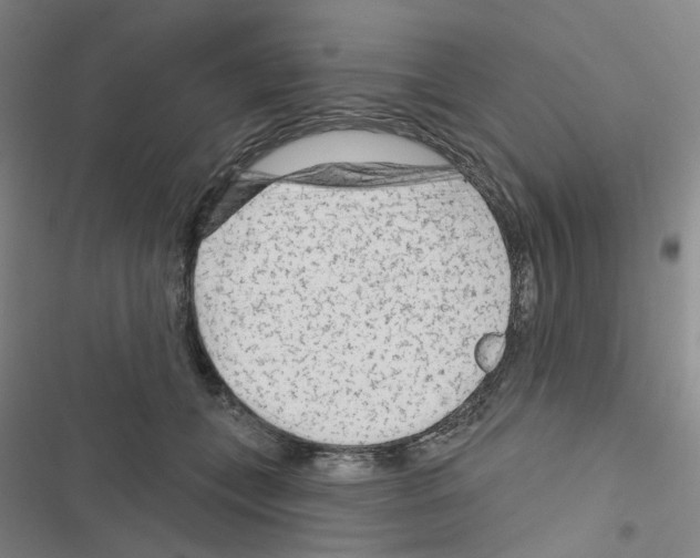 X0000116670559201001251241