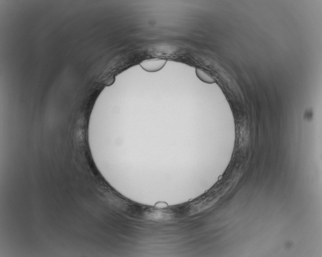 X0000116670561201001251241