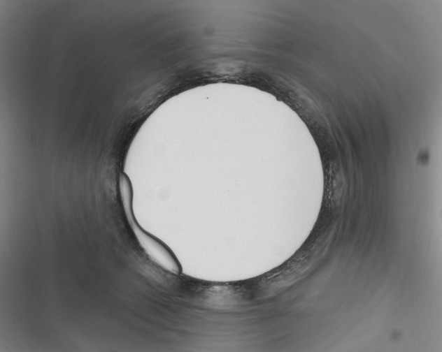 X0000116670562201001251241