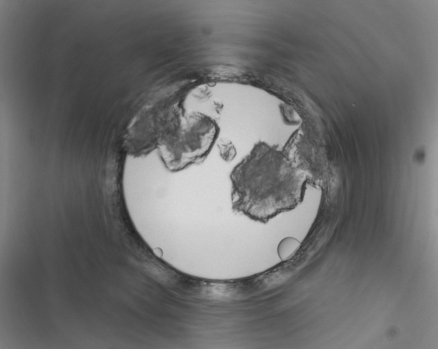 X0000116670565201001251241