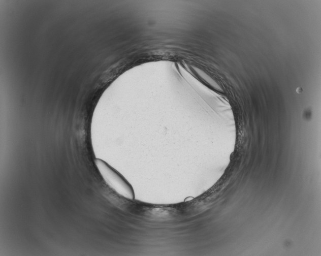 X0000116670566201001251241