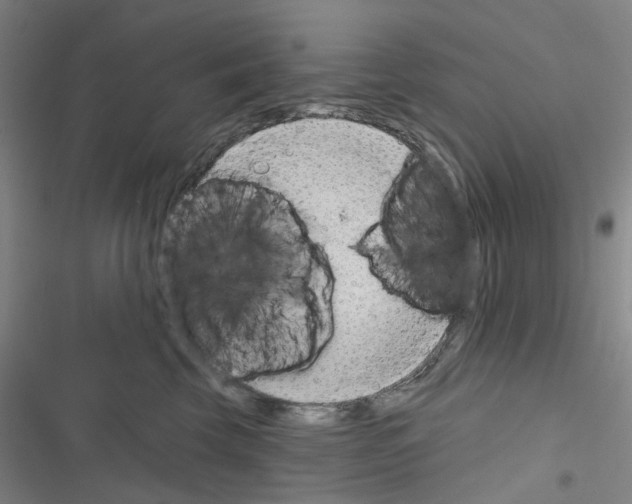 X0000116670569201001251241