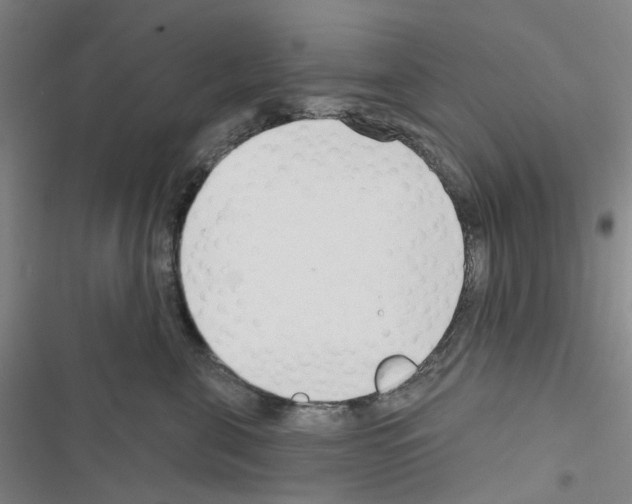 X0000116670571201001251241