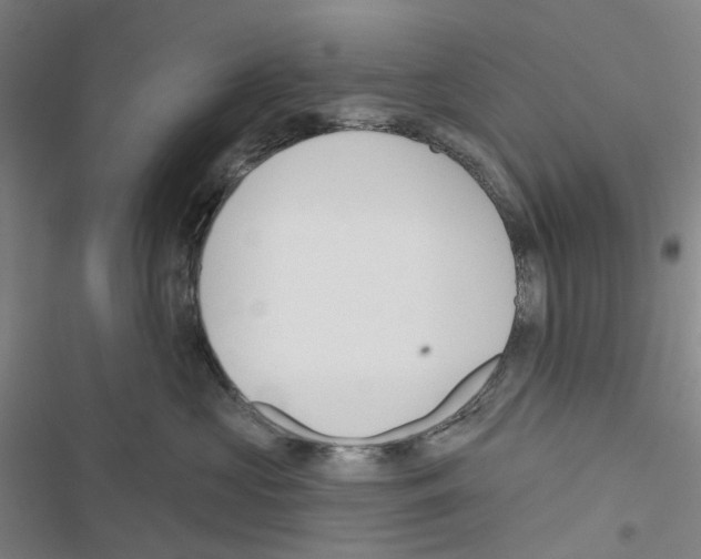 X0000116670573201001251241