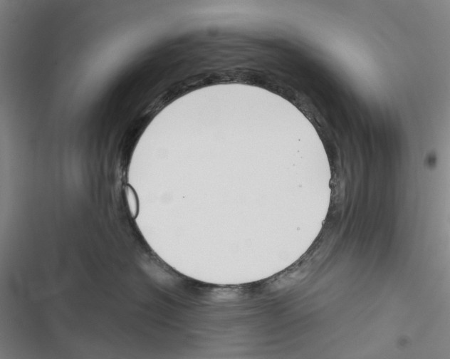 X0000116670574201001251241
