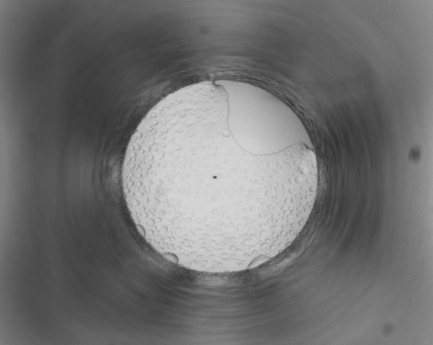 X0000116670575201001251241