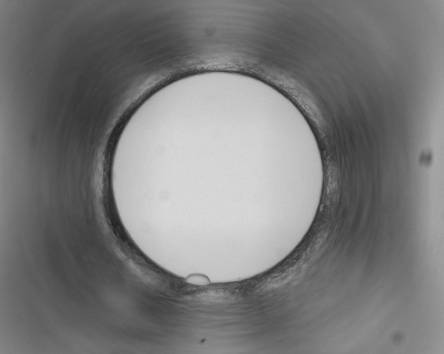 X0000116670578201001251241