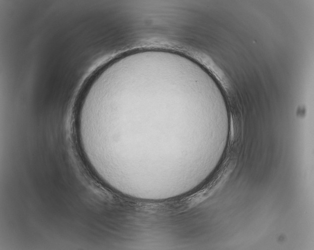 X0000116670579201001251241