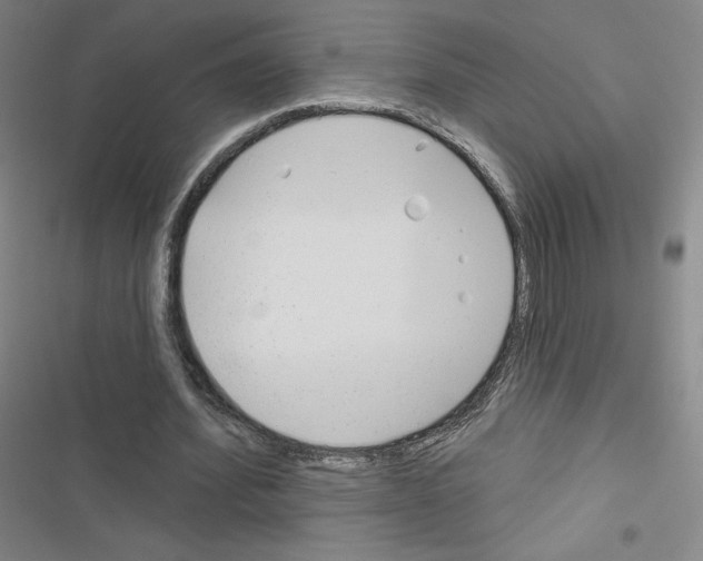 X0000116670580201001251241