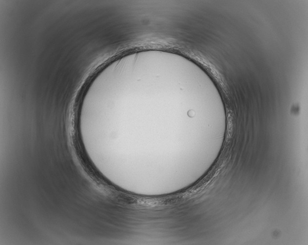 X0000116670582201001251241