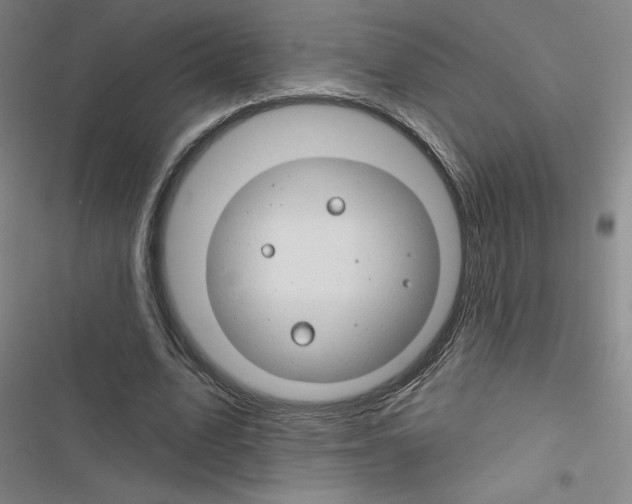 X0000116670583201001251241