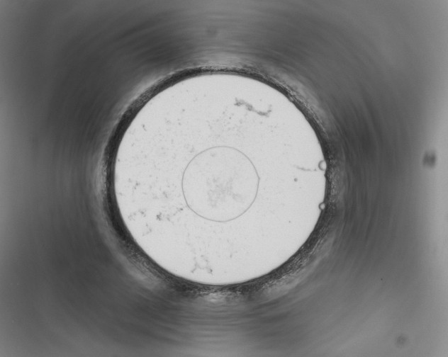 X0000116670584201001251240