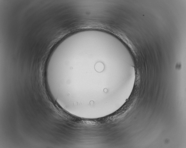 X0000116670585201001251240