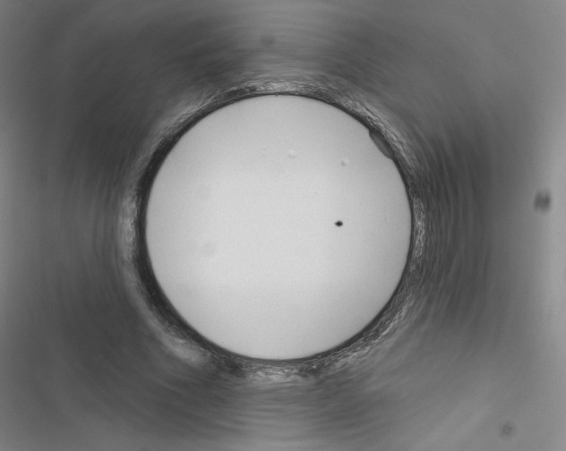 X0000116670586201001251240
