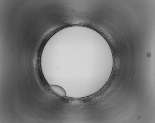 X0000116670587201001251240