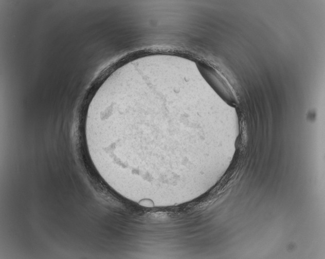X0000116670588201001251240