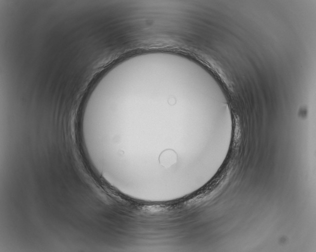 X0000116670589201001251240
