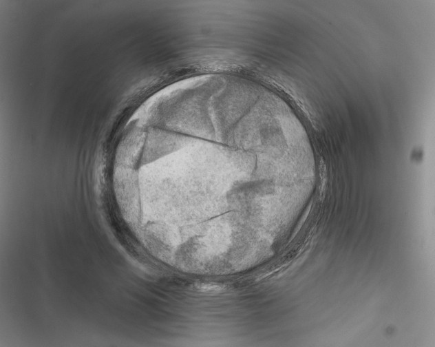 X0000116670590201001251240