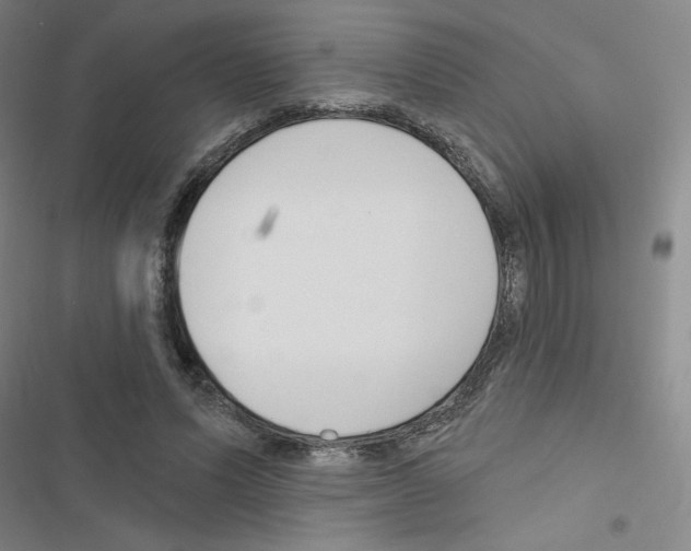 X0000116670591201001251240