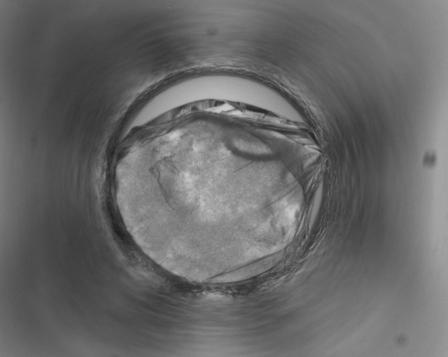 X0000116670592201001251240