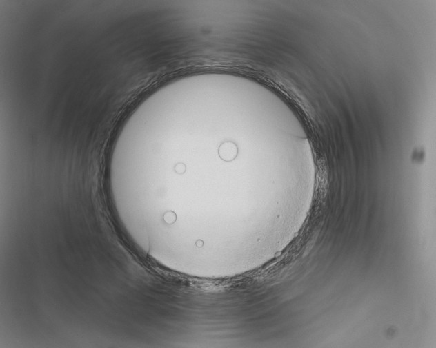 X0000116670593201001251240