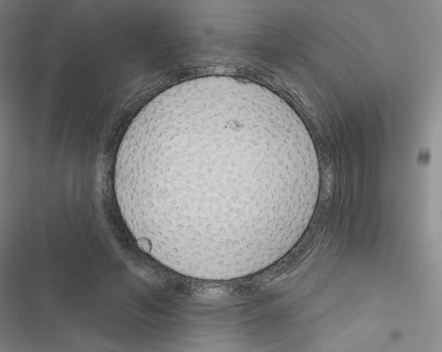 X0000116670594201001251240