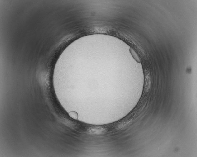 X0000116670595201001251240