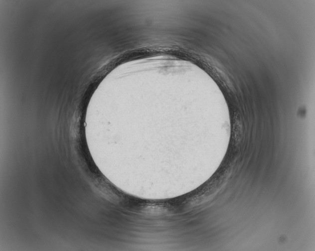 X0000116670596201001251240