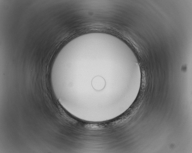 X0000116670597201001251240